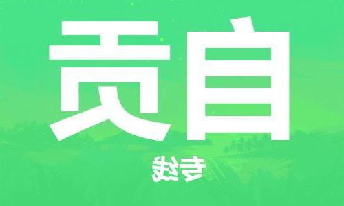 天津到自贡物流公司|天津到自贡专线（今日/关注）