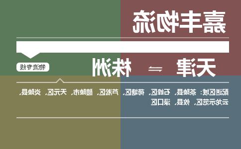 天津到攸县物流公司|天津到攸县物流专线|天津到攸县货运专线